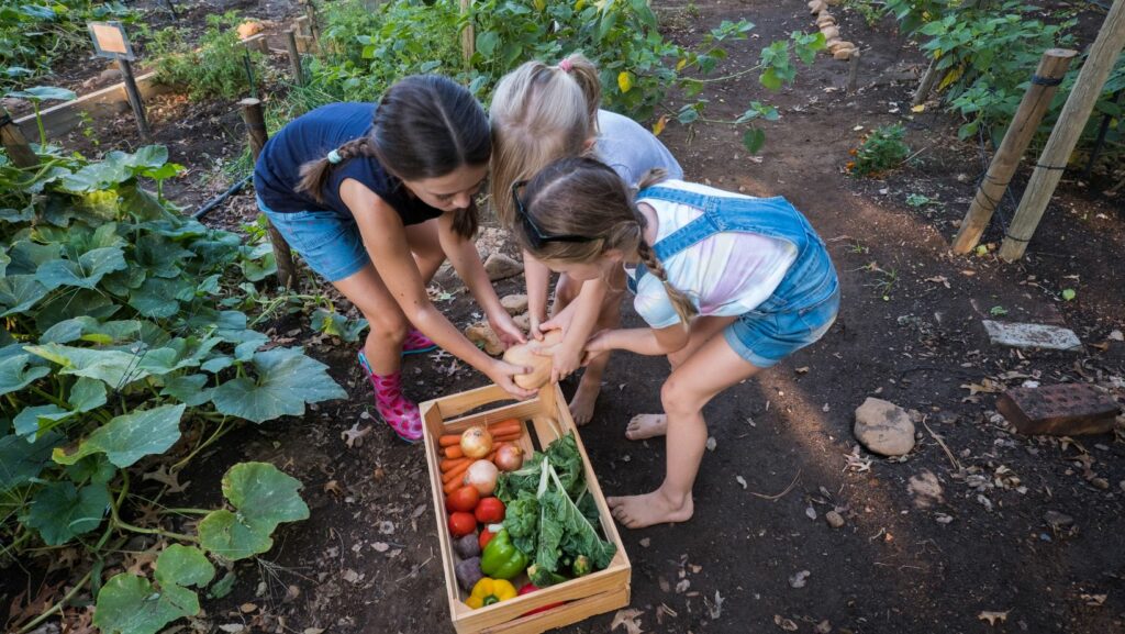 vegetable gardening tips